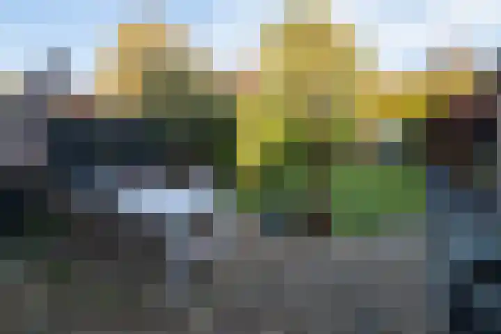 Torenzicht 38 Eemnes thumbnail 38