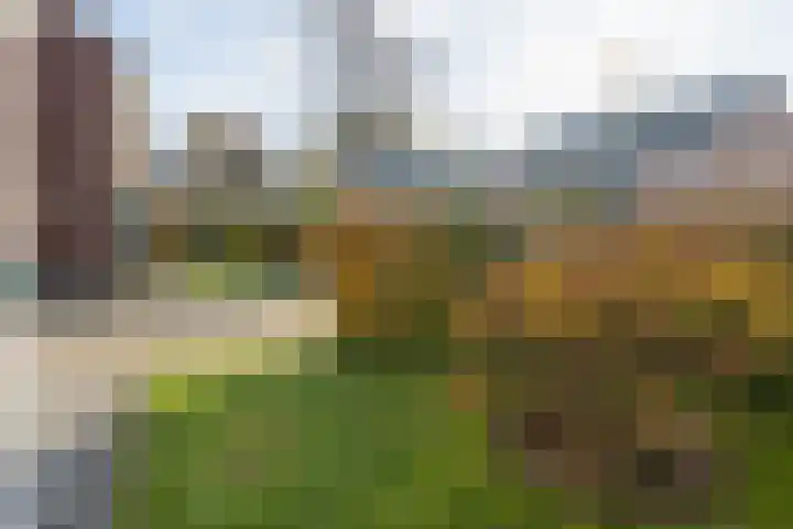Torenzicht 38 Eemnes thumbnail 49