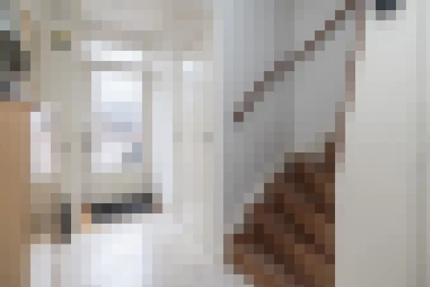 Torenzicht 58 Eemnes thumbnail 13