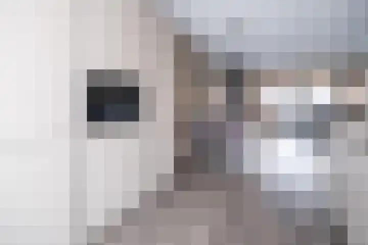 Torenzicht 74 A Eemnes thumbnail 12