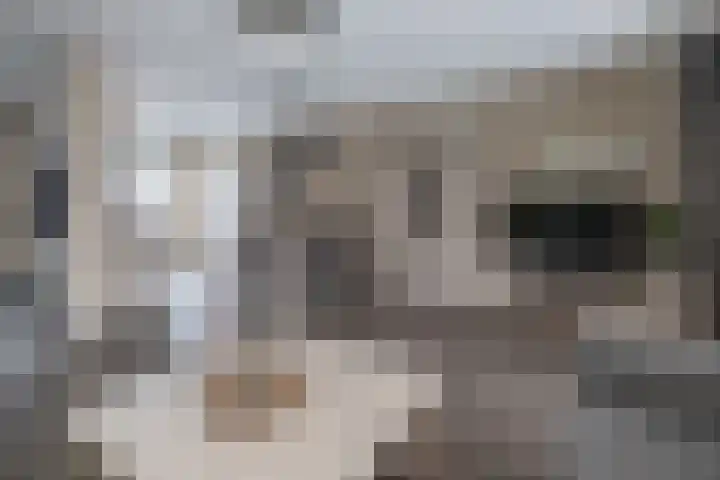 Torenzicht 74 A Eemnes thumbnail 4