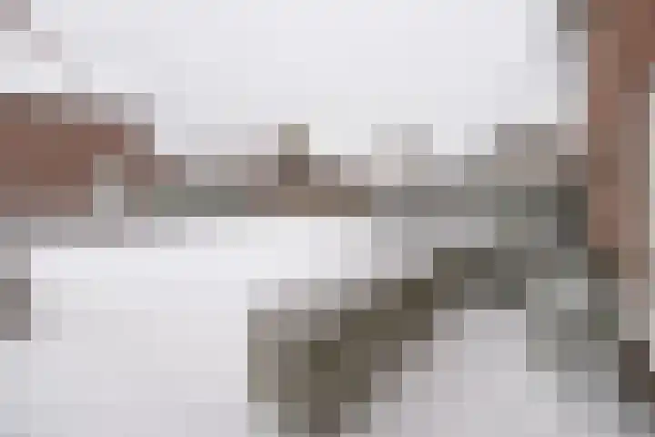 Torenzicht 74 A Eemnes thumbnail 44