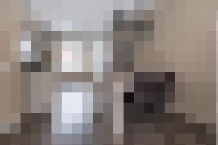 Torenzicht 74 A Eemnes thumbnail 8