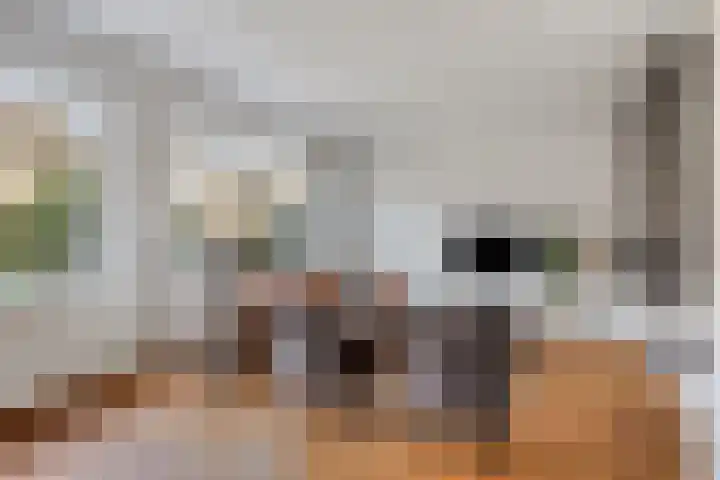 Torfcamp 14 Heesch thumbnail 20