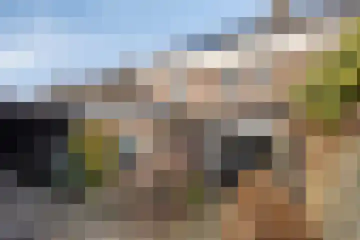 Torfcamp 14 Heesch thumbnail 42