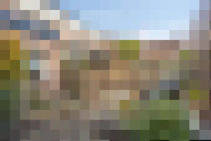 Torfcamp 14 Heesch thumbnail 43