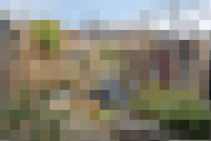 Torfcamp 14 Heesch thumbnail 44