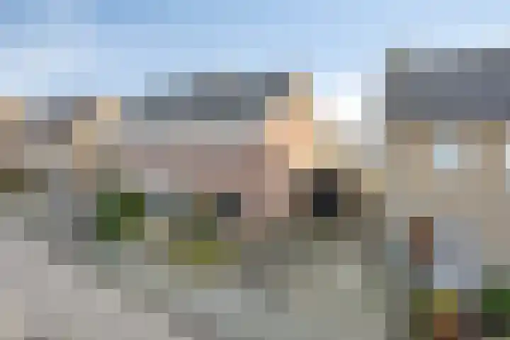 Torfcamp 14 Heesch thumbnail 8