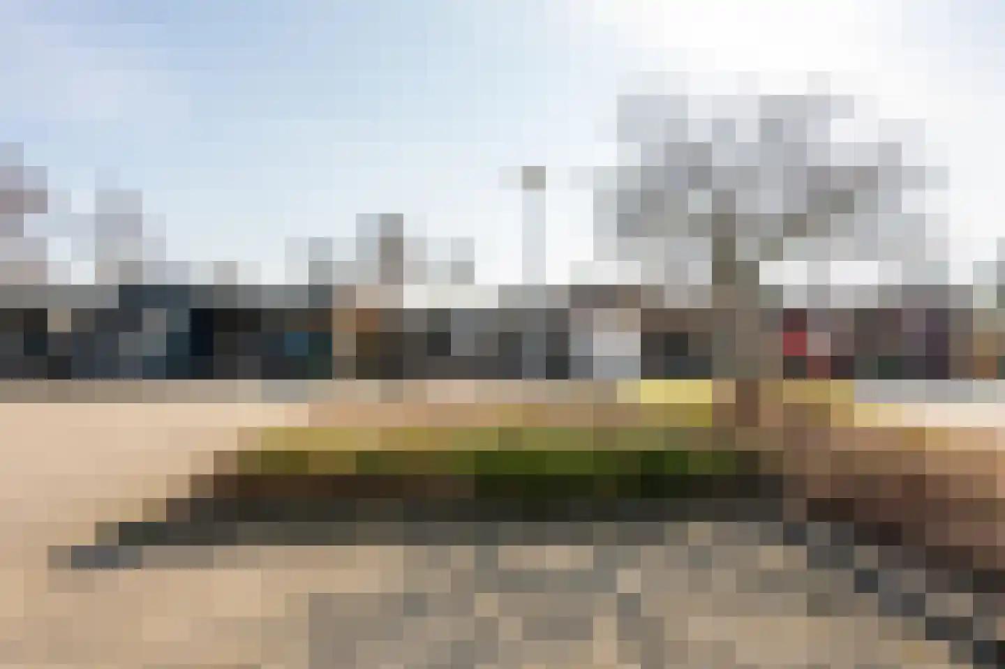 Torflang 91 Emmen thumbnail 30