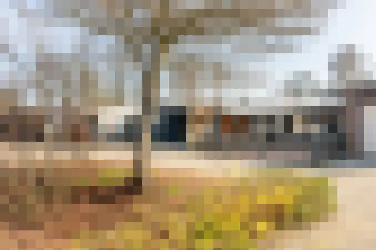 Torflang 91 Emmen thumbnail 31
