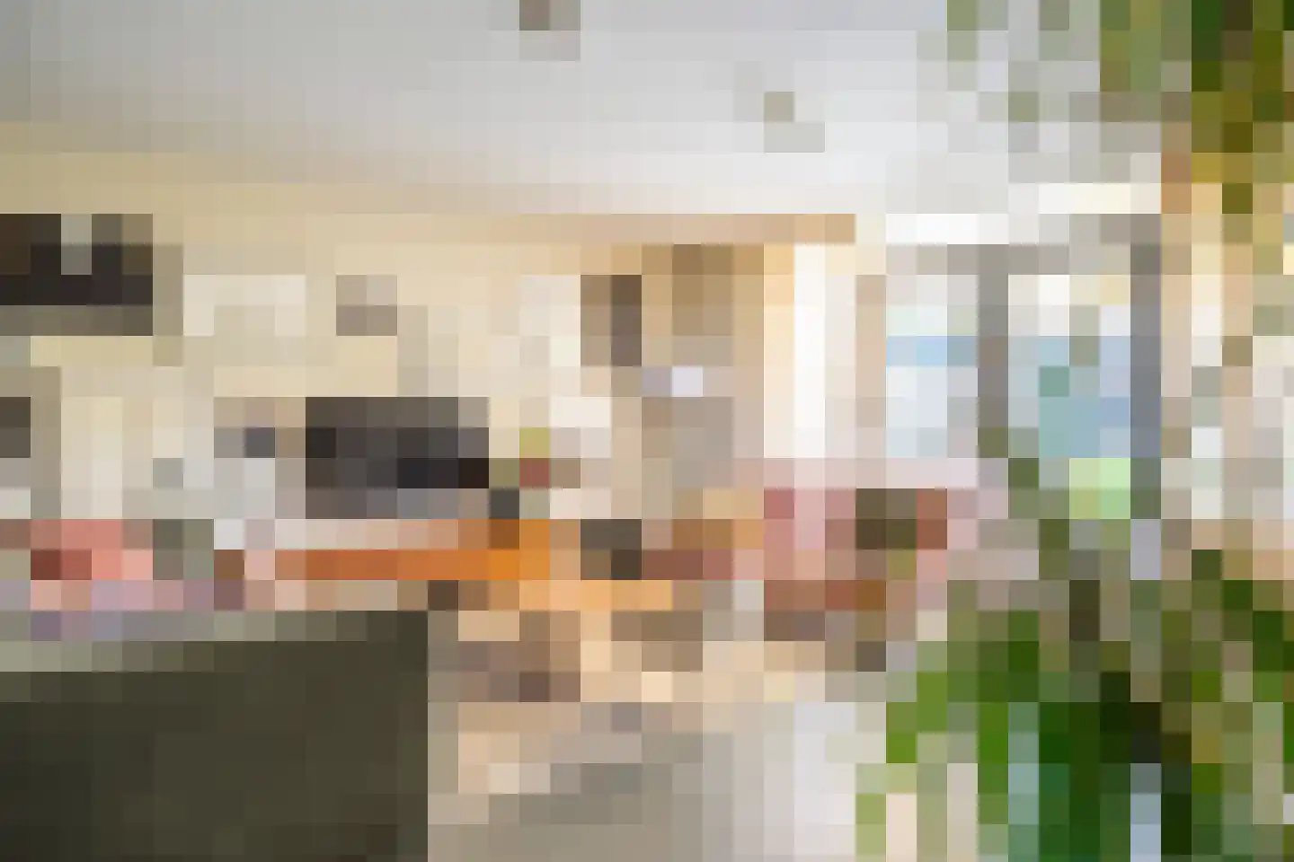 Torkruidstraat 4 Lisserbroek thumbnail 15
