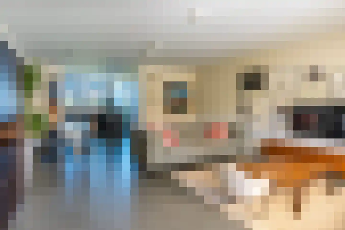 Torkruidstraat 4 Lisserbroek thumbnail 17