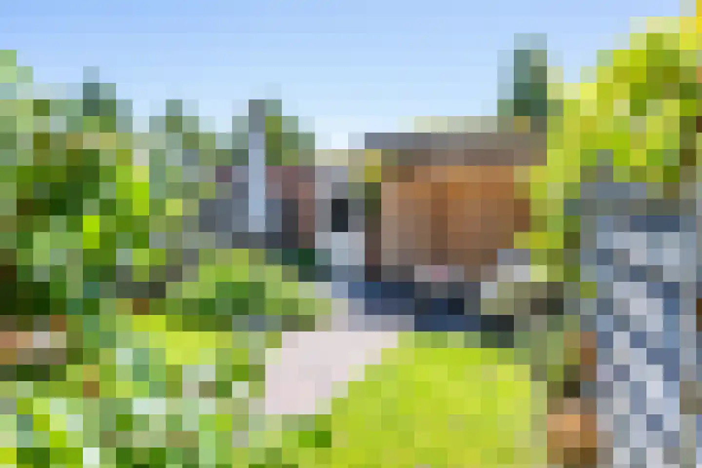 Torkruidstraat 4 Lisserbroek thumbnail 20