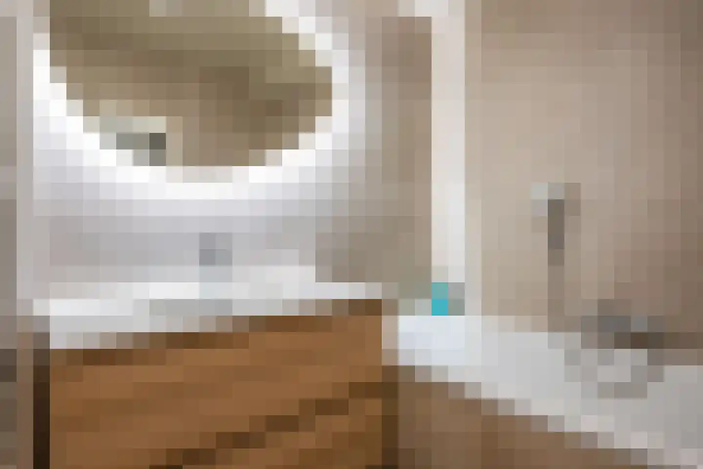 Torkruidstraat 4 Lisserbroek thumbnail 29