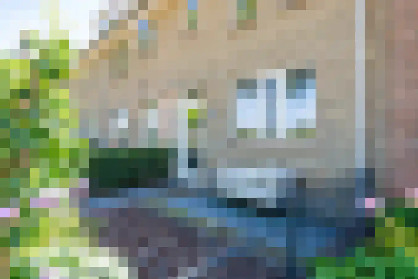 Torkruidstraat 4 Lisserbroek thumbnail 42
