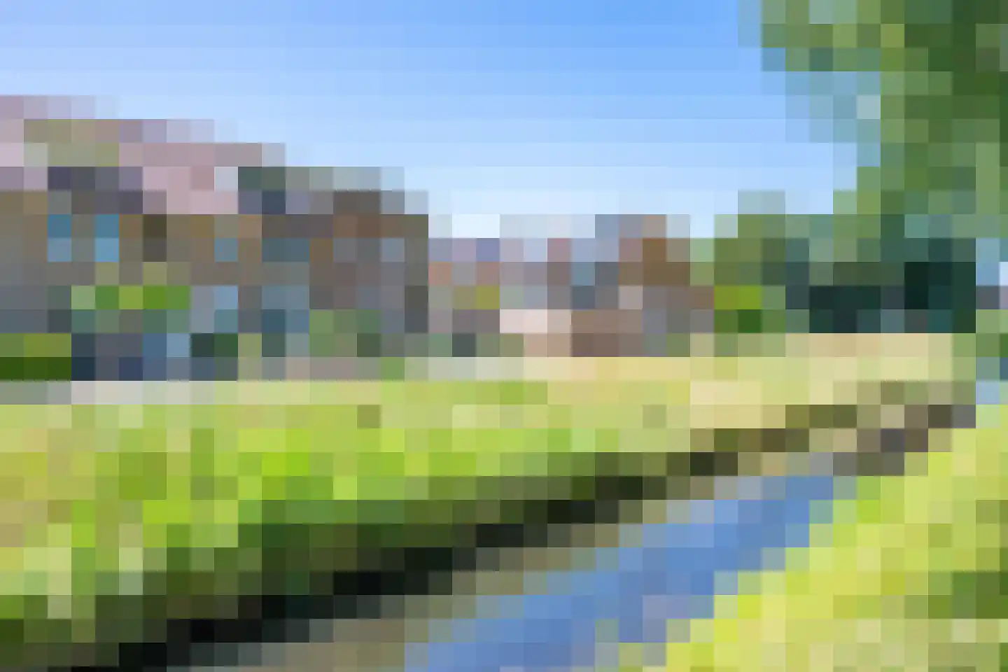 Torkruidstraat 4 Lisserbroek thumbnail 6