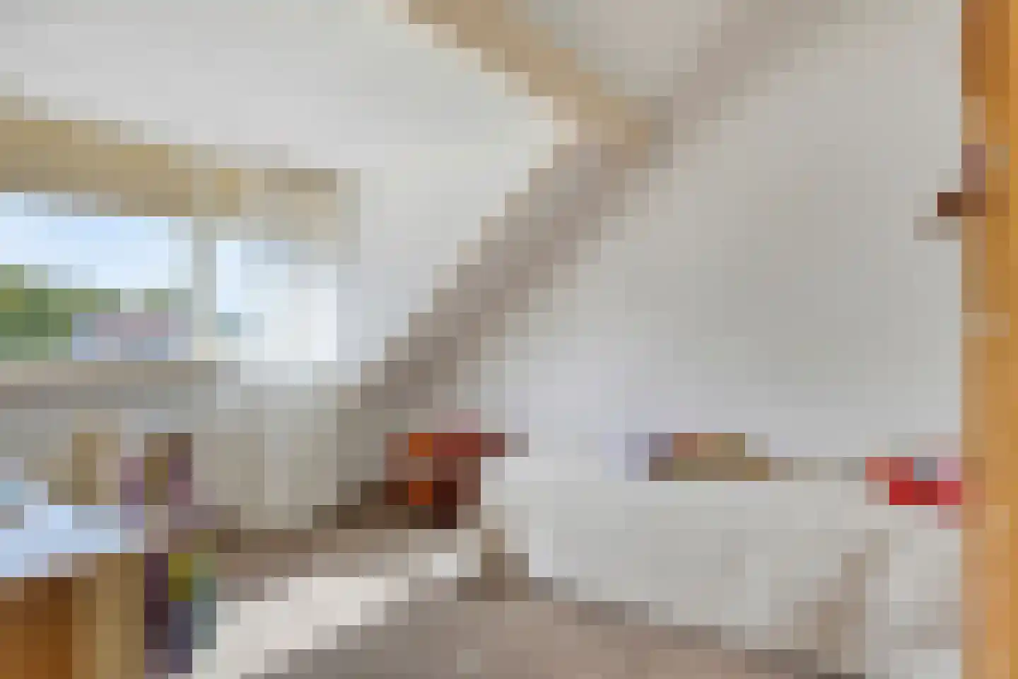 Torkruidstraat 44 Lisserbroek thumbnail 36
