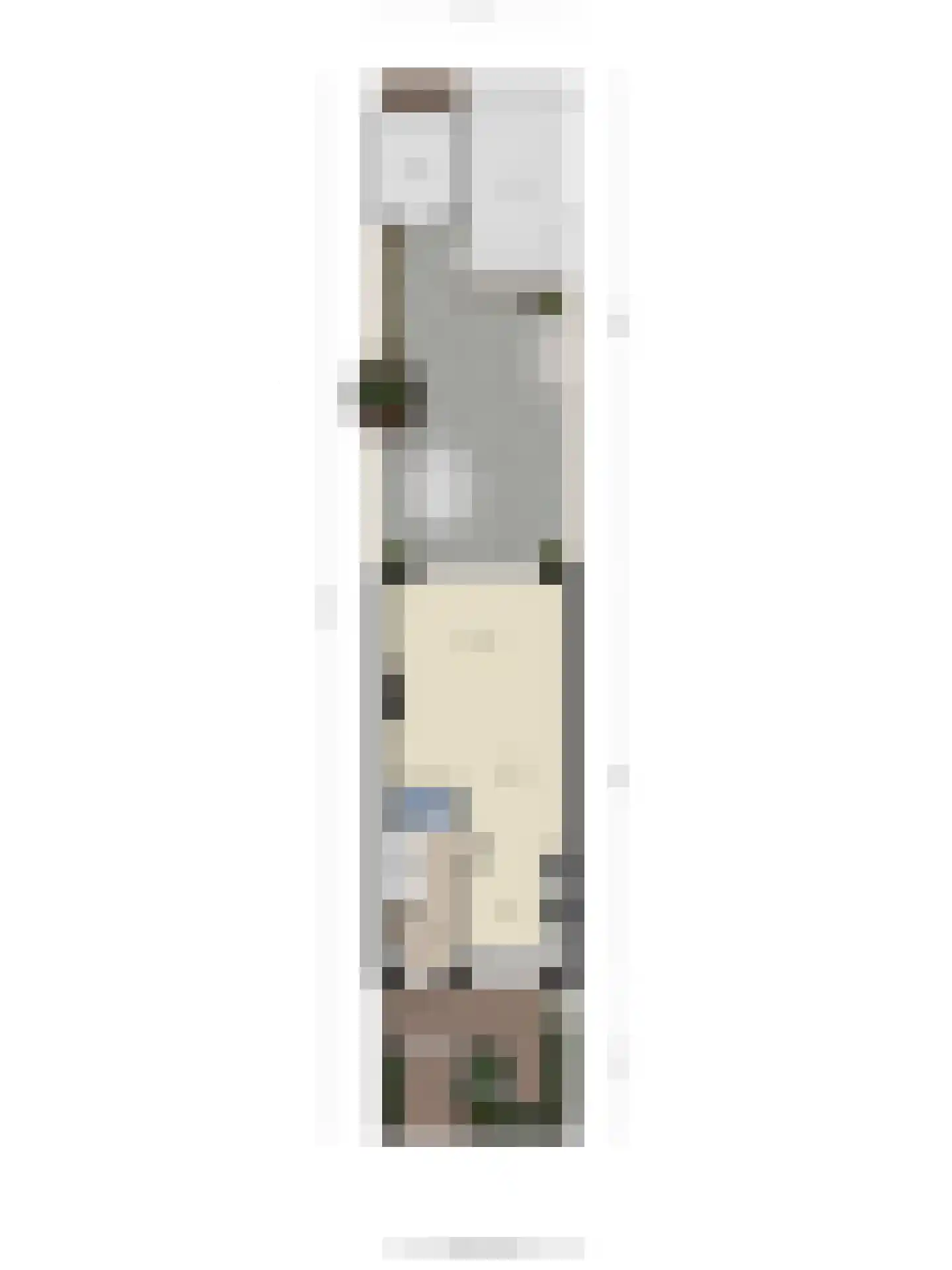 Torkruidstraat 44 Lisserbroek thumbnail 39