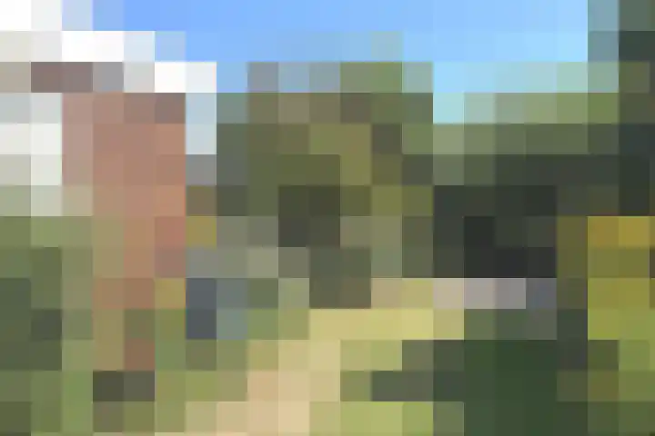 Tormentil 1 Julianadorp thumbnail 22