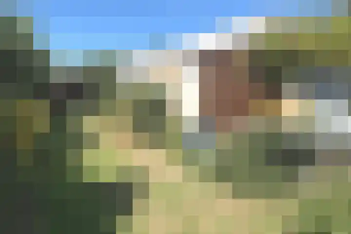 Tormentil 1 Julianadorp thumbnail 23