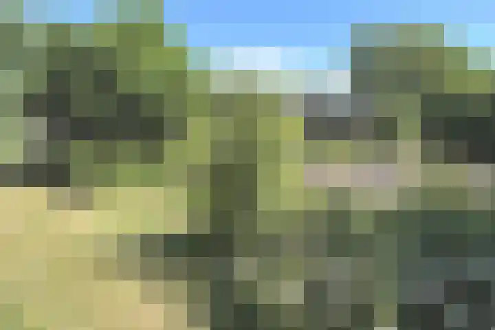 Tormentil 1 Julianadorp thumbnail 25