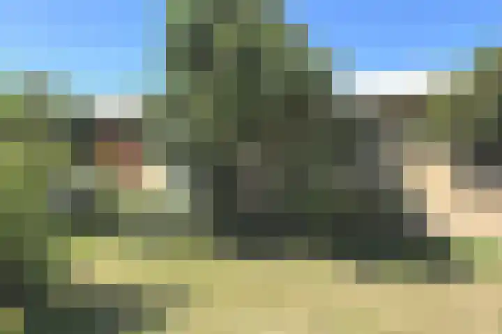 Tormentil 1 Julianadorp thumbnail 26