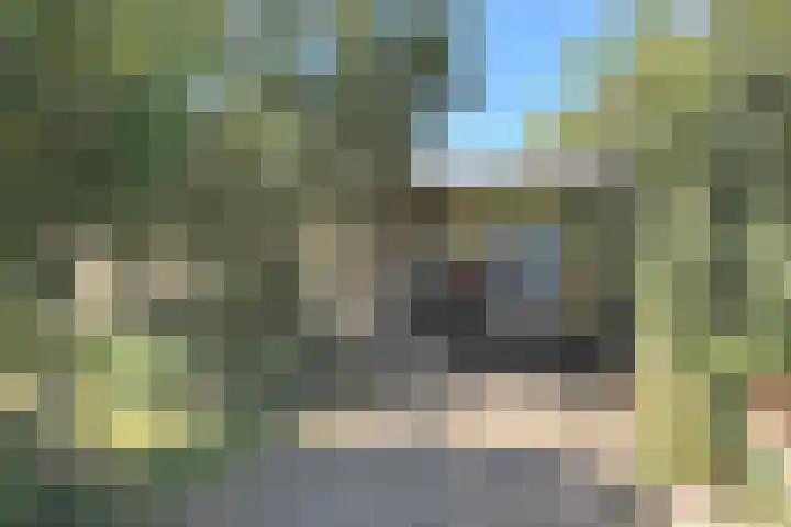 Tormentil 1 Julianadorp thumbnail 28