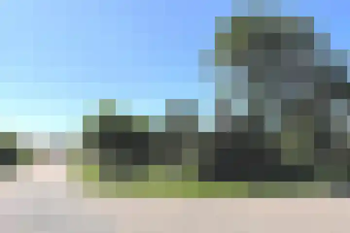 Tormentil 1 Julianadorp thumbnail 29