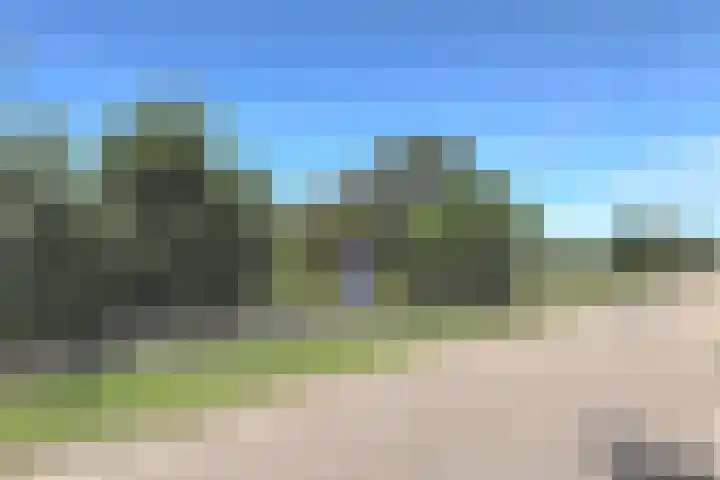 Tormentil 1 Julianadorp thumbnail 30