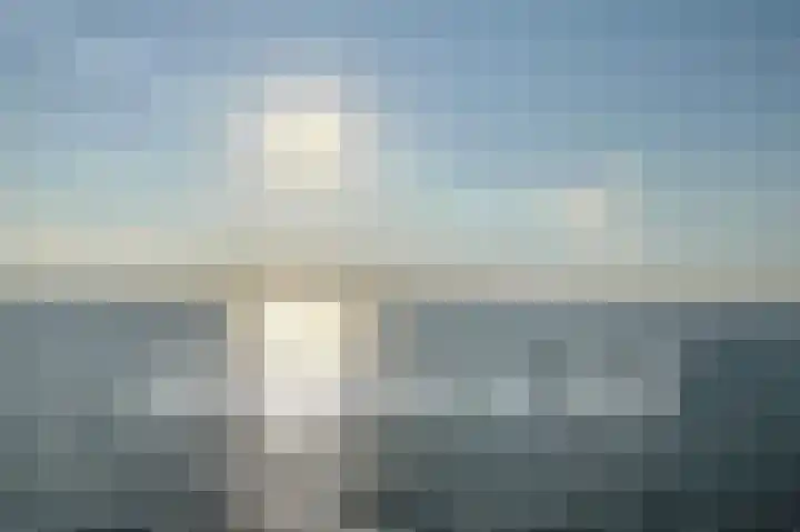 Tormentil 1 Julianadorp thumbnail 34