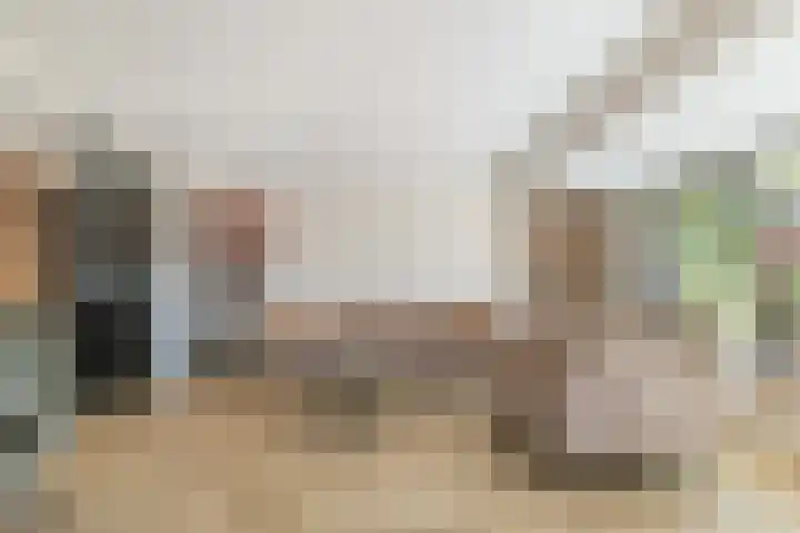 Tormentil 1 Limmen thumbnail 20