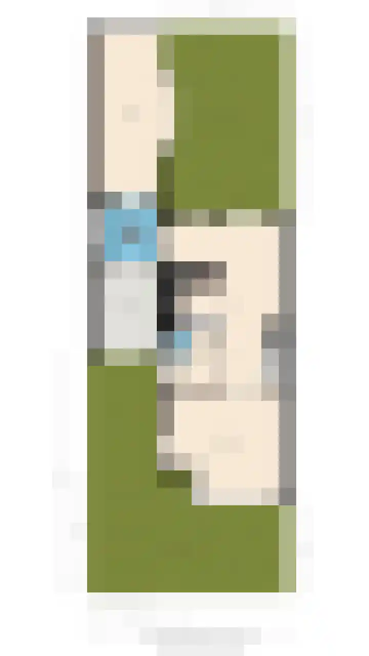 Tormentil 1 Limmen thumbnail 38