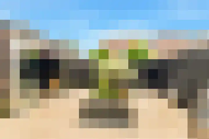 Tormentil 1 Limmen thumbnail 4