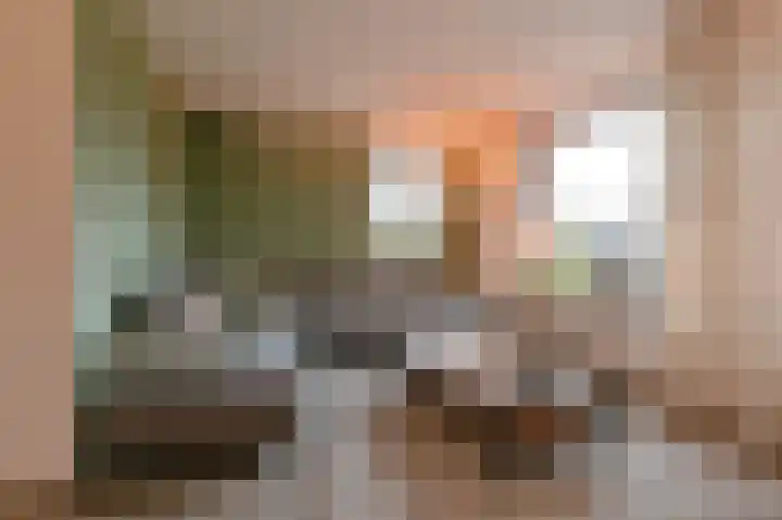 Tormentil 10 Hollandscheveld thumbnail 10