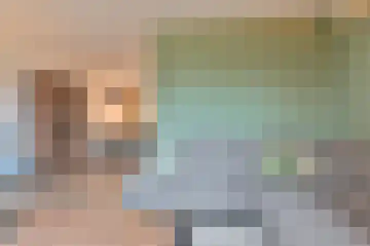 Tormentil 10 Hollandscheveld thumbnail 12