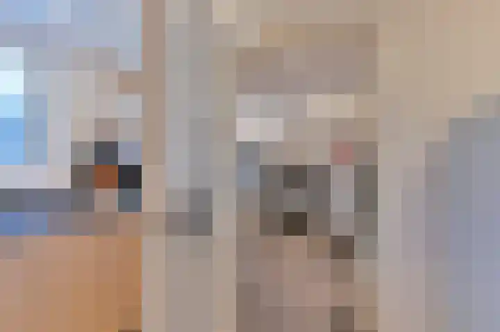 Tormentil 10 Hollandscheveld thumbnail 29