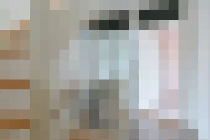 Tormentil 10 Hollandscheveld thumbnail 35