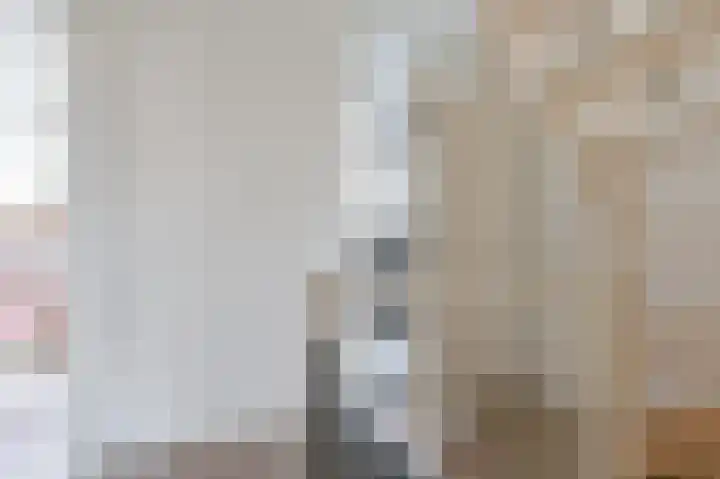 Tormentil 10 Hollandscheveld thumbnail 36