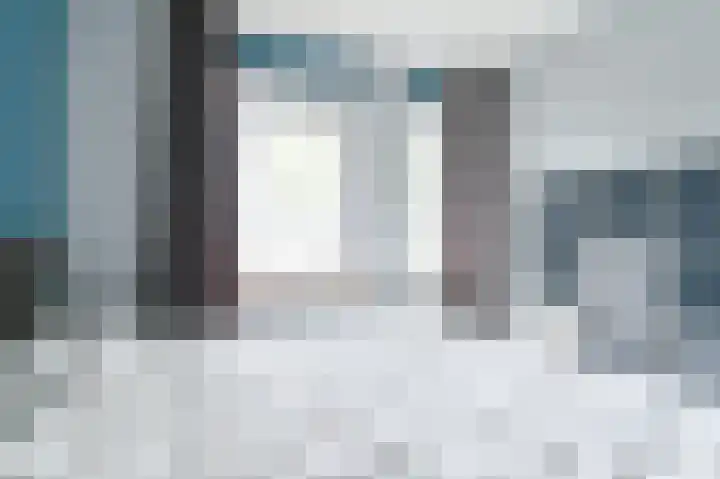 Tormentil 10 Hollandscheveld thumbnail 39