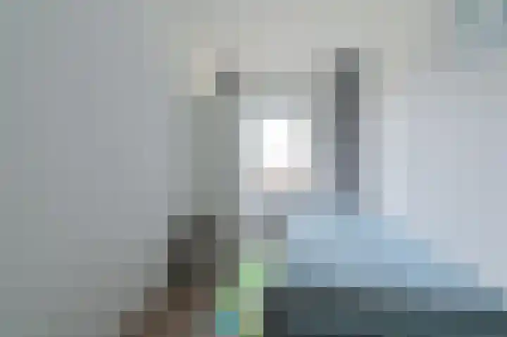 Tormentil 10 Hollandscheveld thumbnail 55