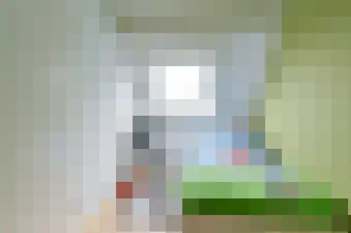 Tormentil 10 Hollandscheveld thumbnail 61