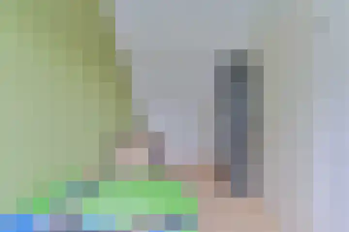 Tormentil 10 Hollandscheveld thumbnail 62