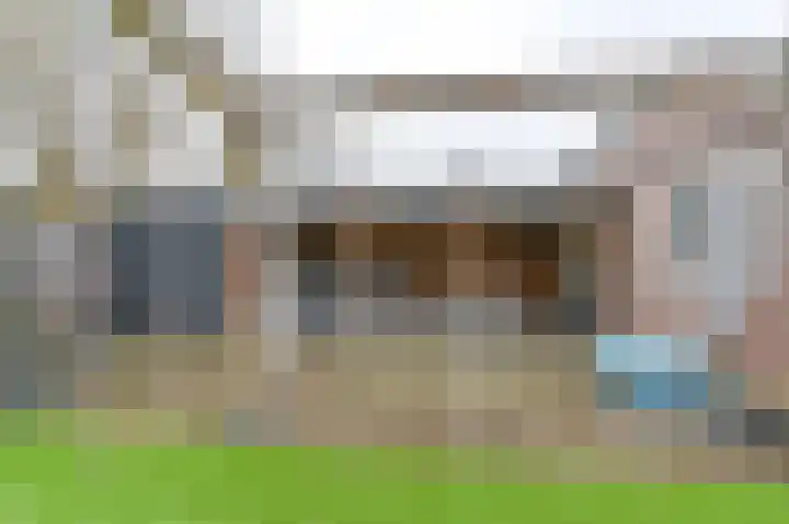 Tormentil 10 Hollandscheveld thumbnail 65