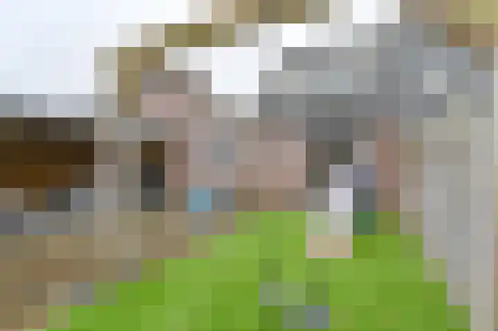 Tormentil 10 Hollandscheveld thumbnail 67
