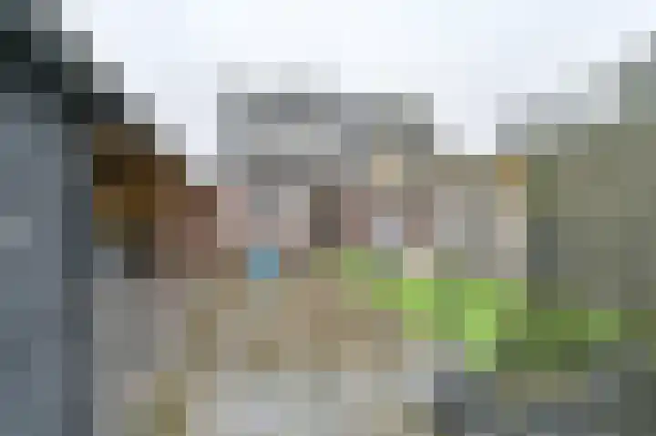 Tormentil 10 Hollandscheveld thumbnail 68