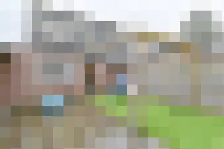 Tormentil 10 Hollandscheveld thumbnail 69