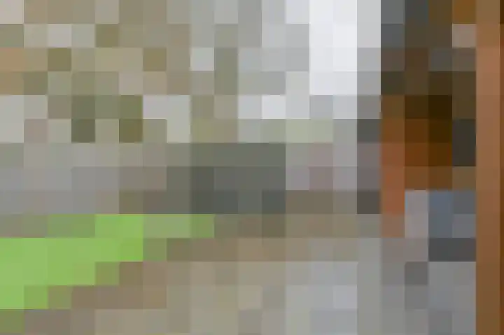 Tormentil 10 Hollandscheveld thumbnail 70