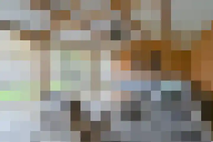 Tormentil 10 Hollandscheveld thumbnail 72