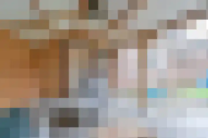 Tormentil 10 Hollandscheveld thumbnail 73
