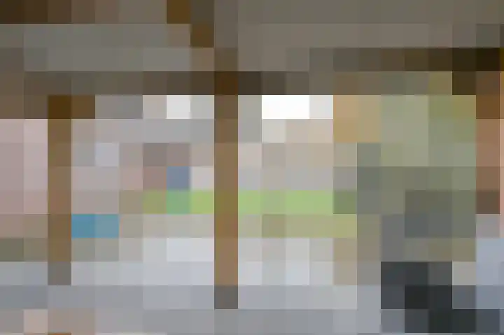 Tormentil 10 Hollandscheveld thumbnail 74